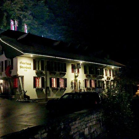 Historic Hotel Steinbock Вильдерсвиль Экстерьер фото